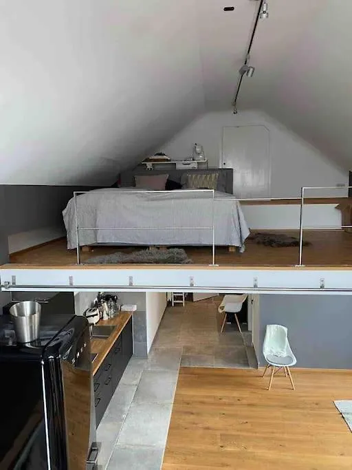 Wunderschoene Loft-Stadtwohnung Wurzburg 0*,